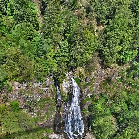 Tannenhof Fischbach - 4 