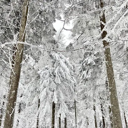 Apartamento Tannenhof Fischbach - 4 